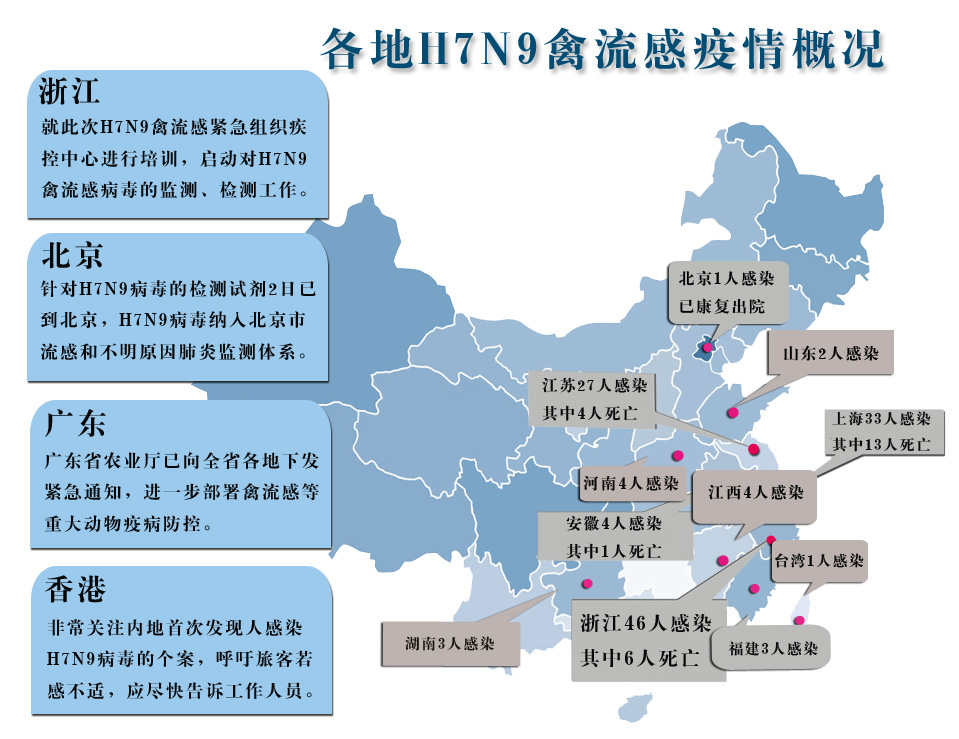 浙江禽流感最新动态全面解析